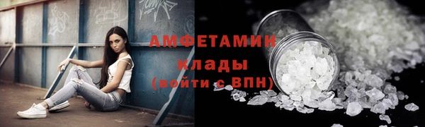 винт Абаза