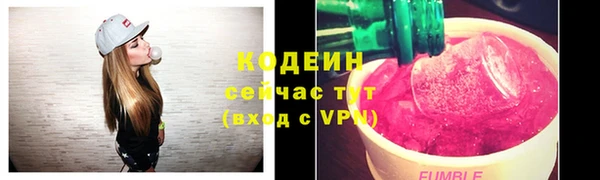 винт Абаза