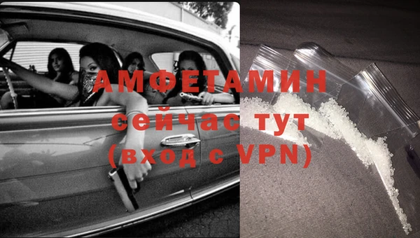 винт Абаза