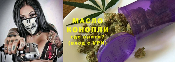 винт Абаза