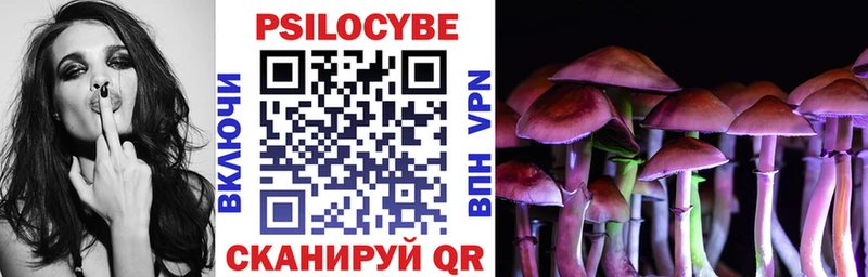 Псилоцибиновые грибы Cubensis  MEGA зеркало  сайты даркнета какой сайт  Калачинск 